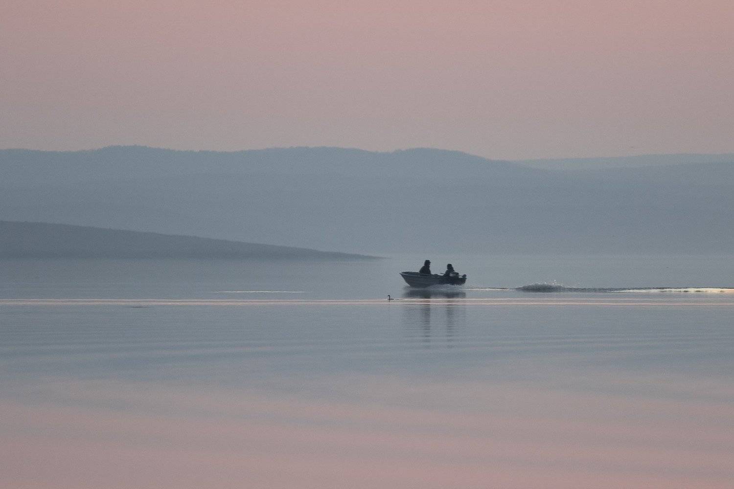 , Десислава Тодорова