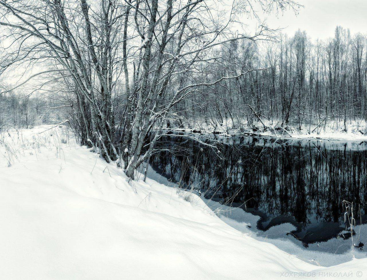 , Хохряков Николай