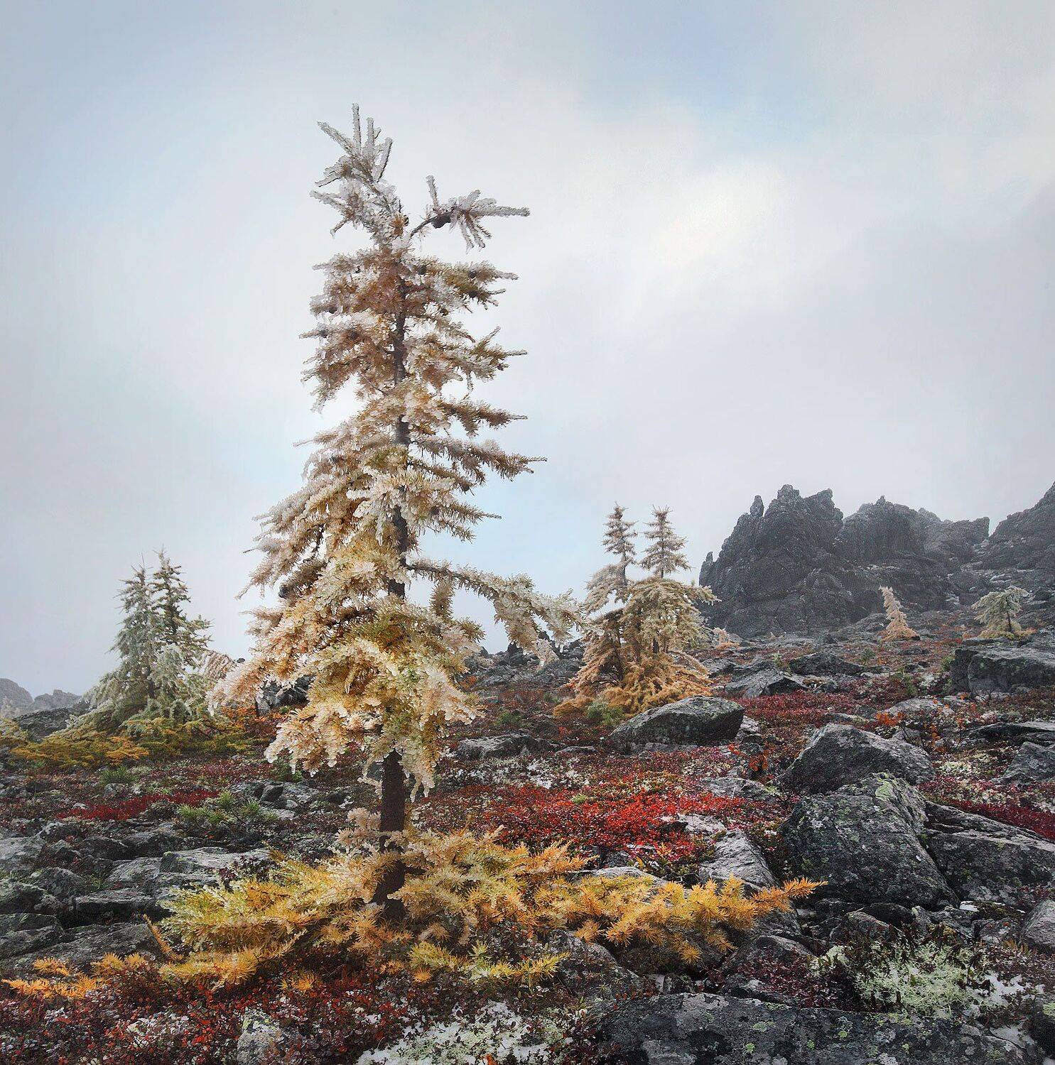 северный урал, Сергей Макурин