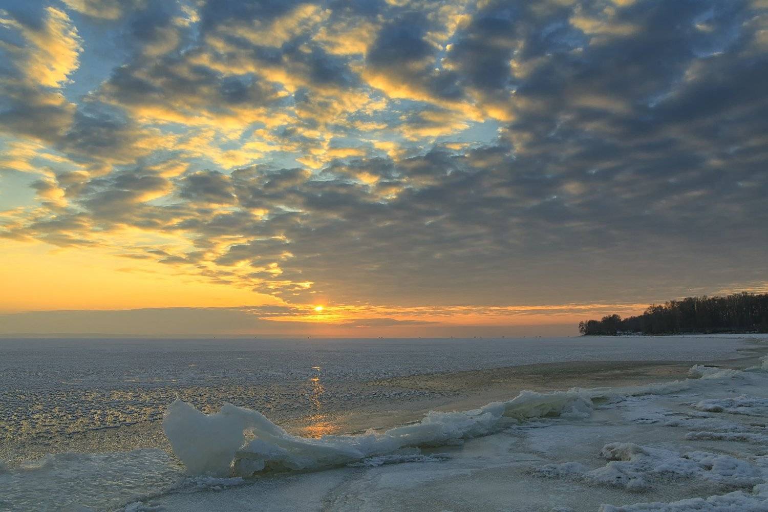 , Александр Войтенко