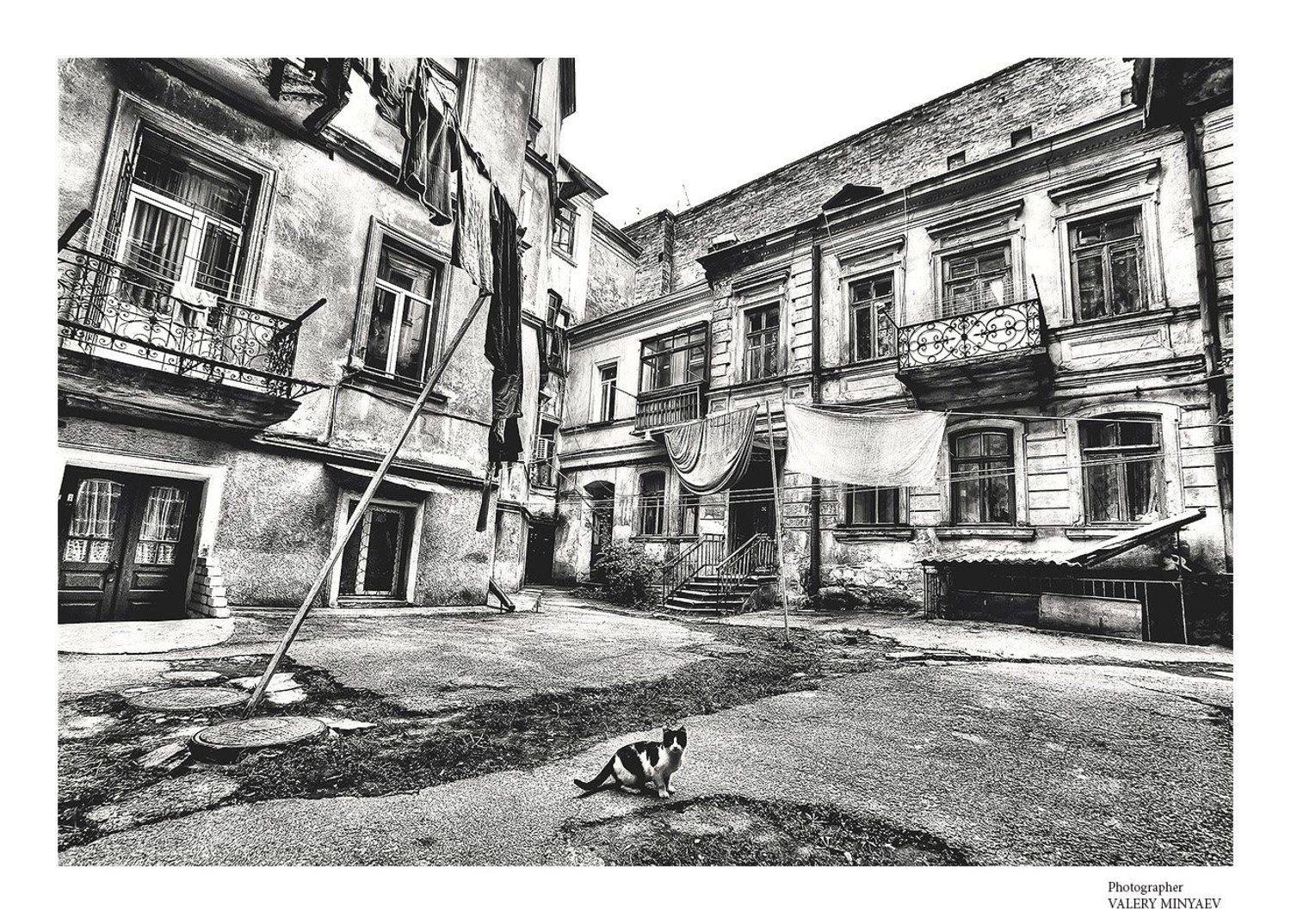 одесса , двор , жанр , кошка, Миняев Валерий