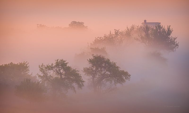 пейзаж, осень, моравия Моравское утро... фото превью