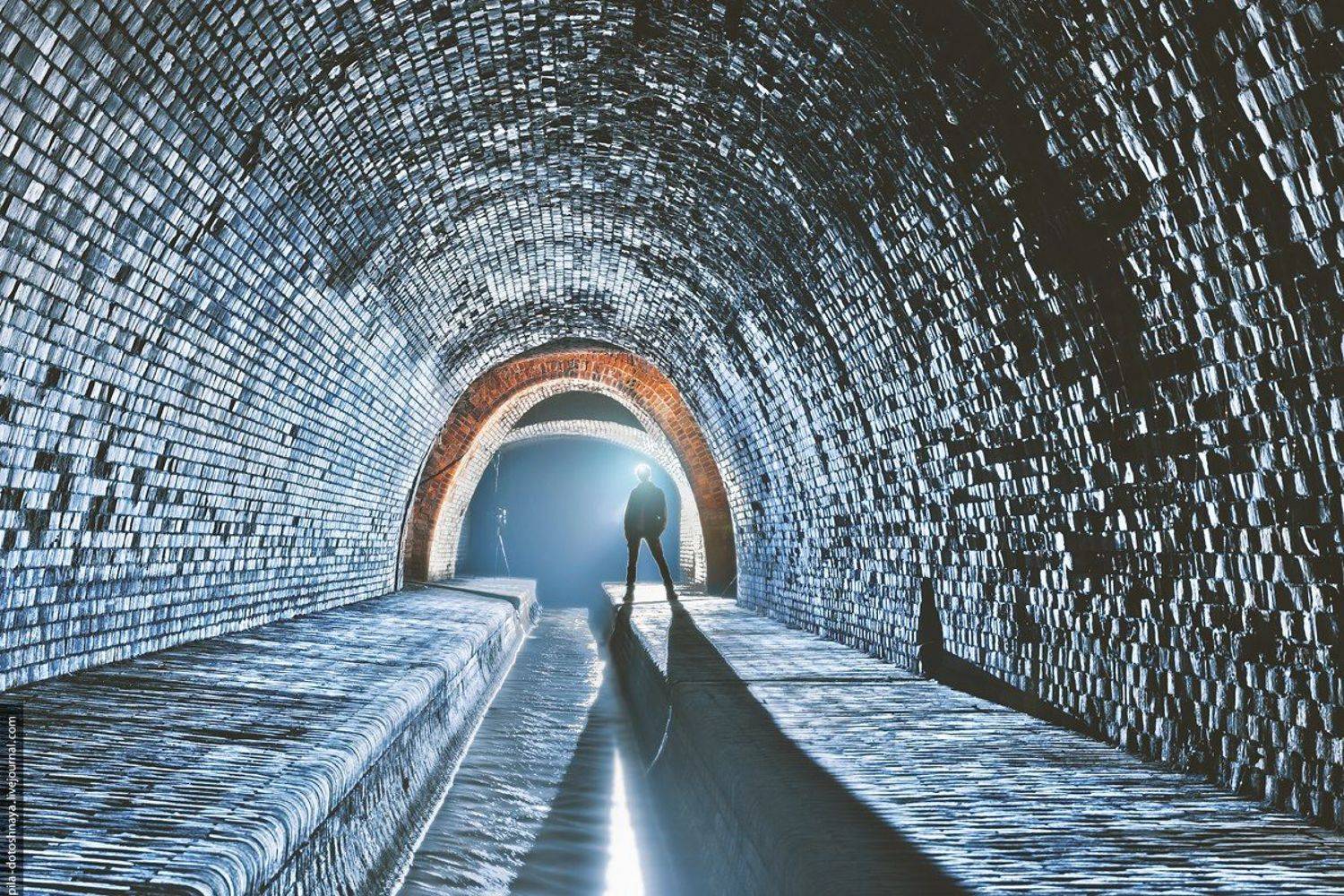 , Анна Аринова