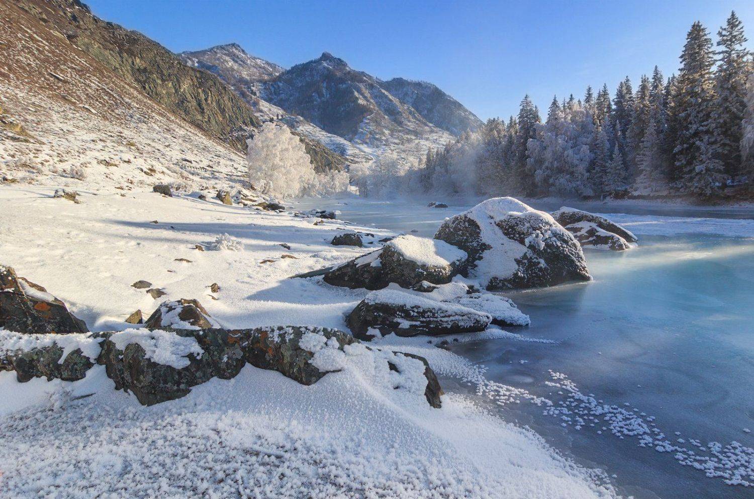 , Дмитрий Д.