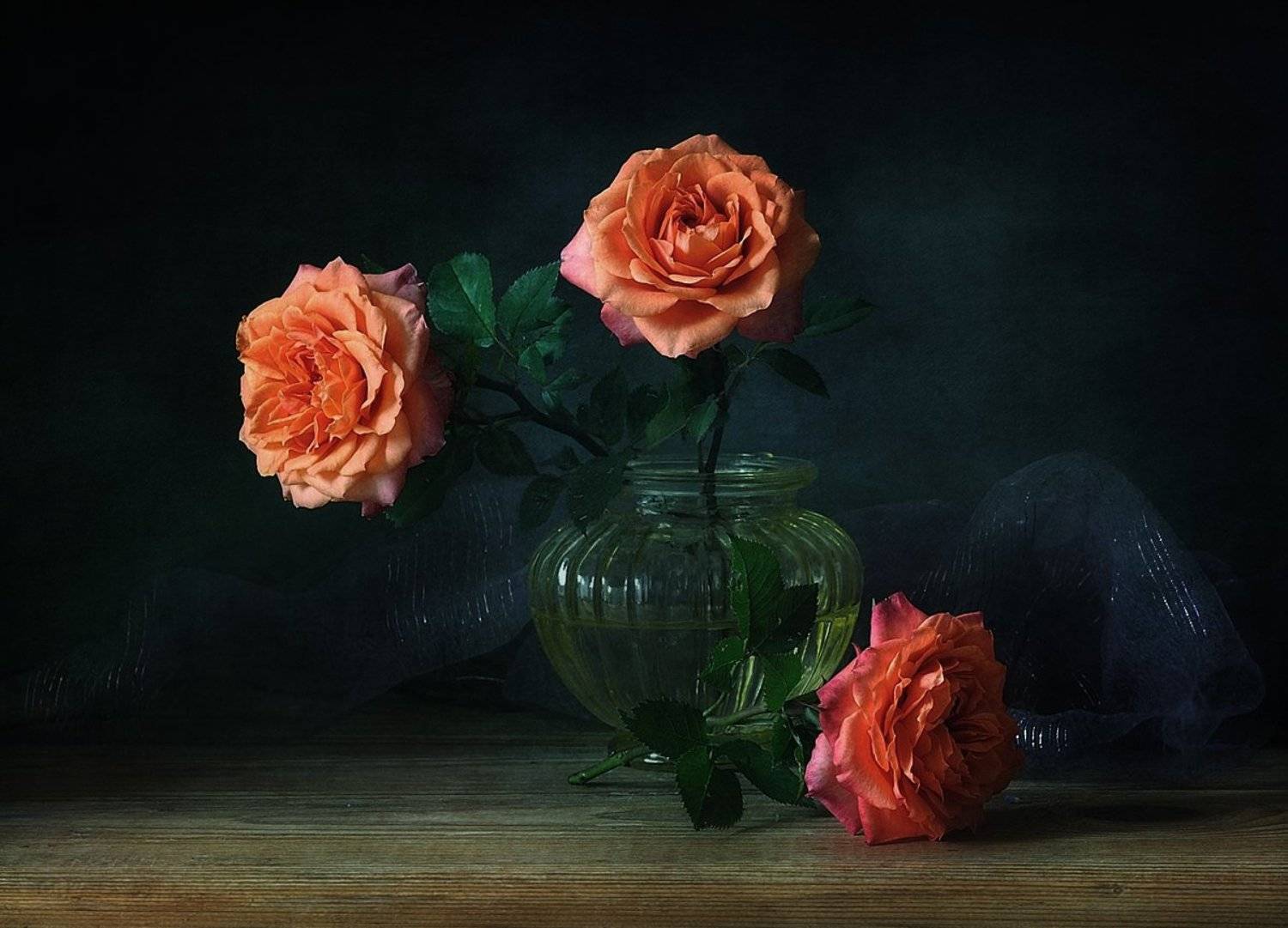 натюрморт,розы,цветы, Наталия