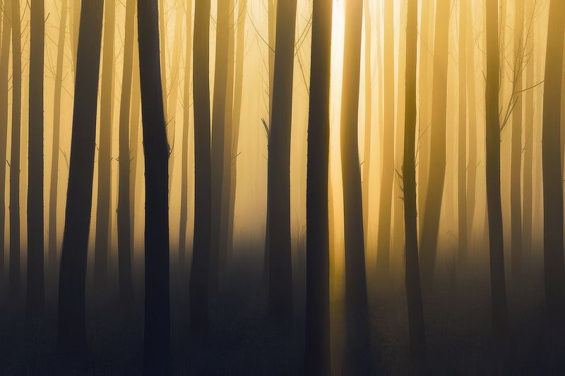 Romania фото превью