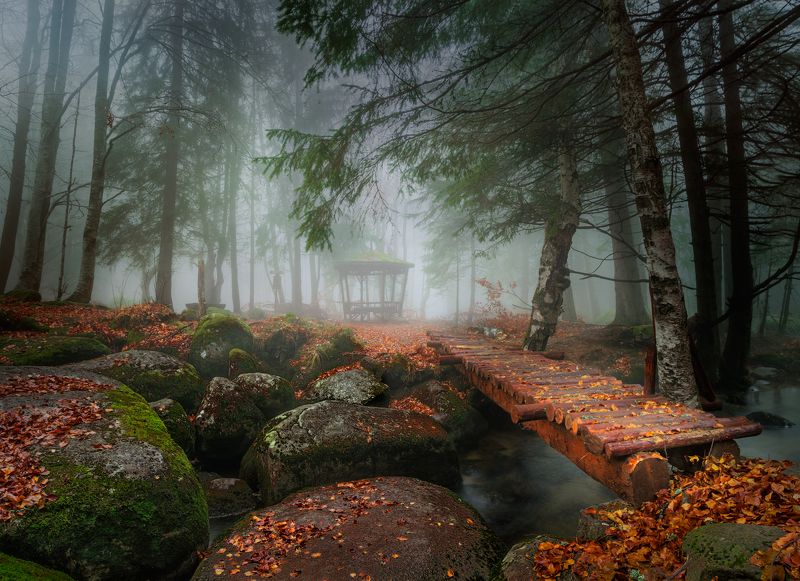 November tale
