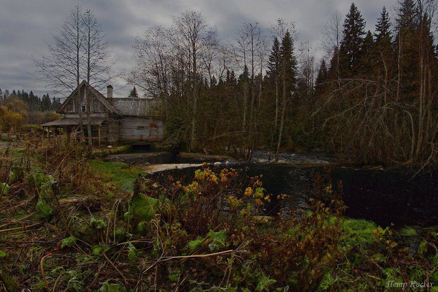 водяная, мельница, ленинградская, область., Петр Косых