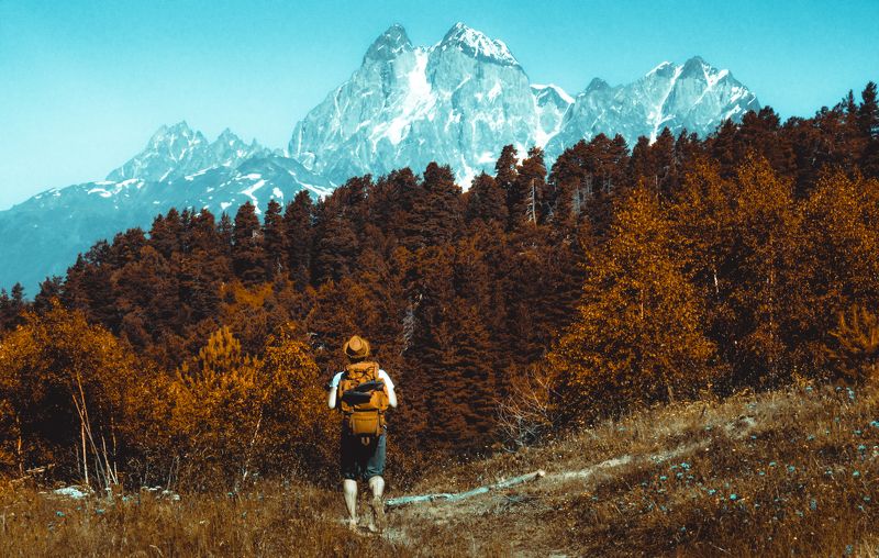 Traveler фото превью