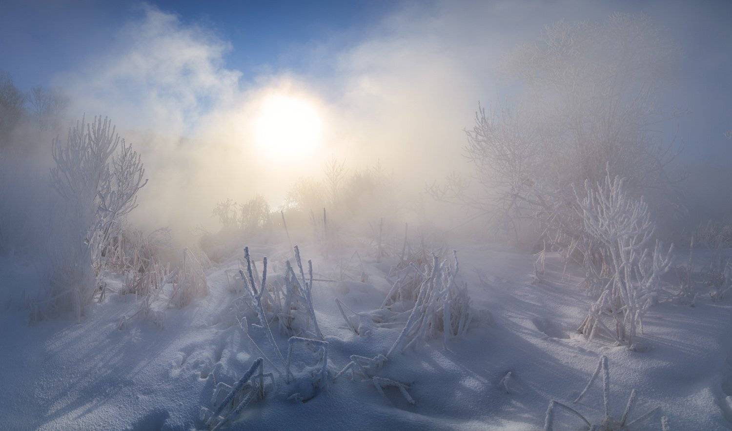 тула, Сергей Кочергин