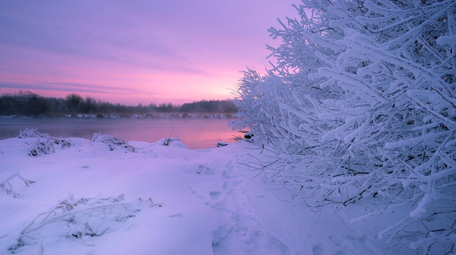 , Игорь Криницын