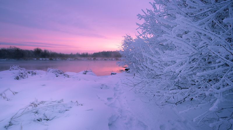 Морозное утро фото превью