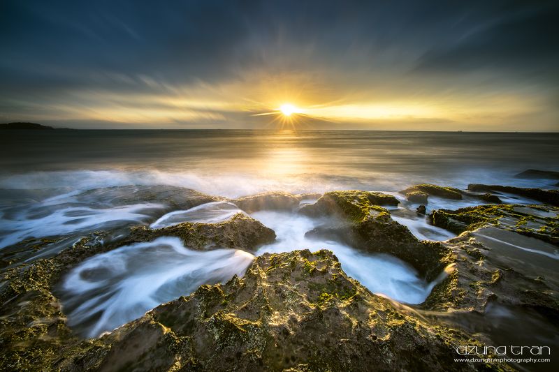 Dinosaur footprint фото превью