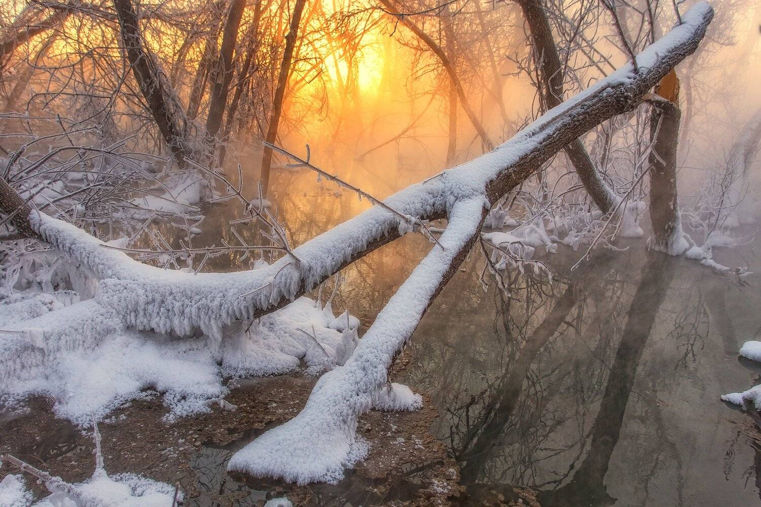 , Павел Сагайдак