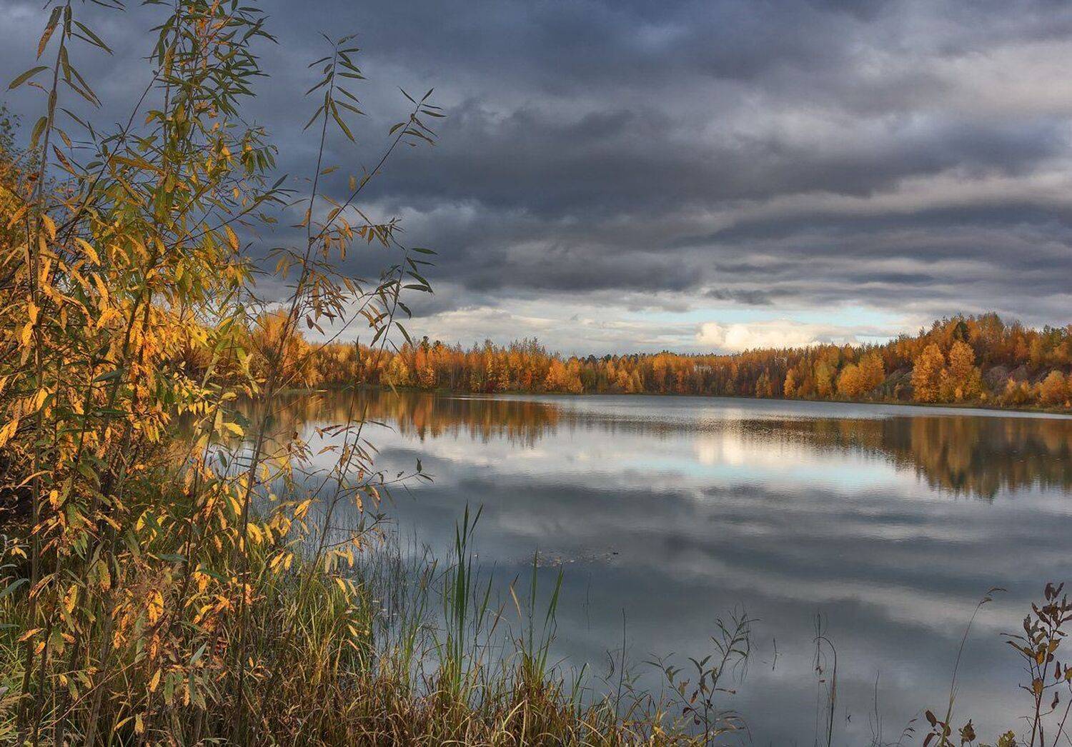 , Николай Андреев