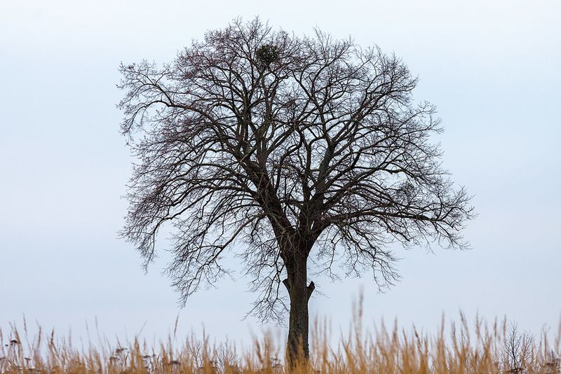 ОДИНОЧЕСТВО фото превью