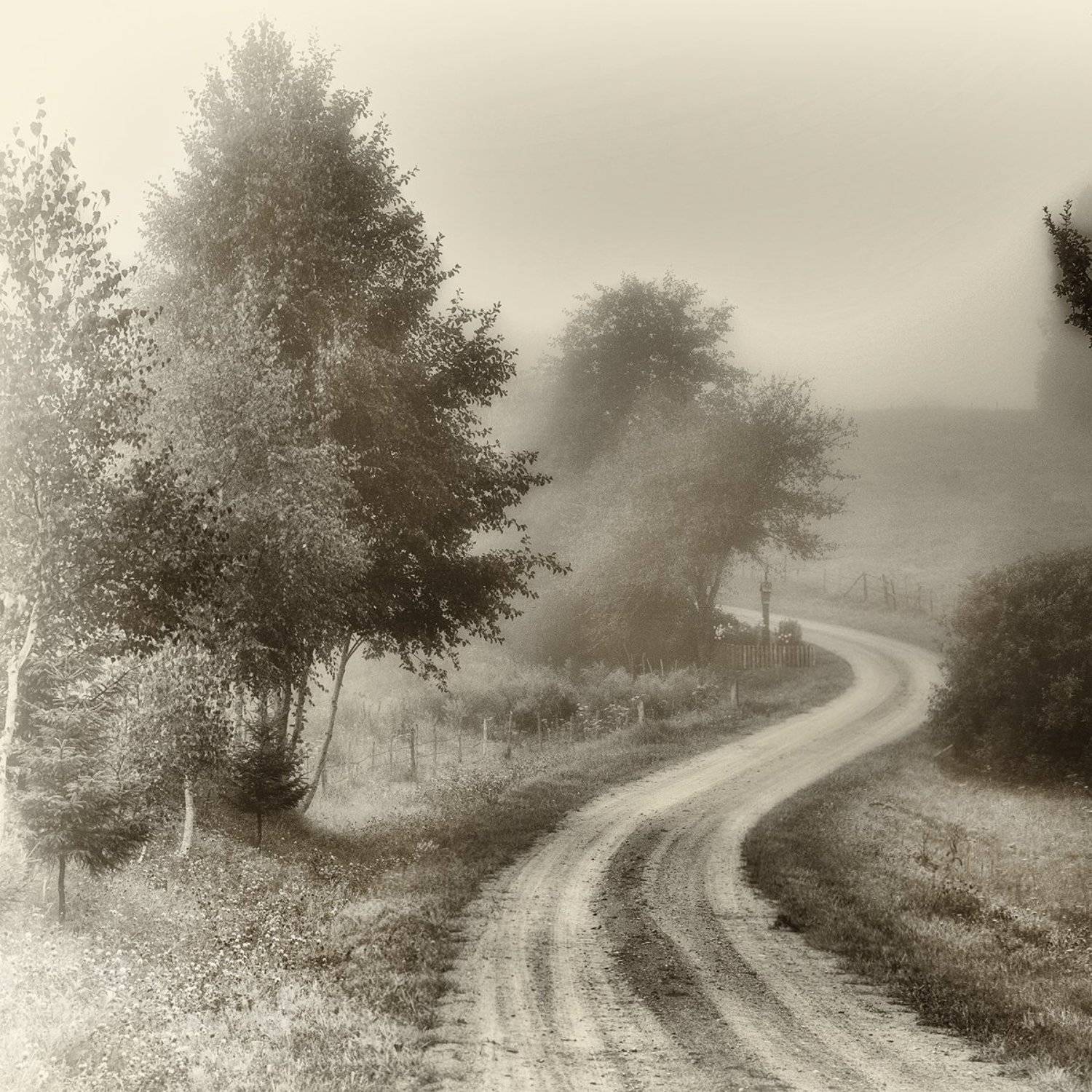 черно-белое, Sutkus Rolandas