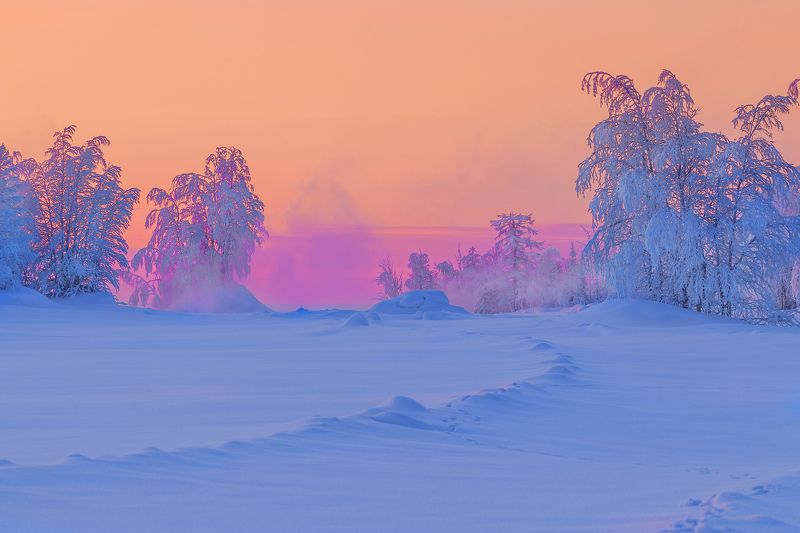 ямал , зима , природа, салехард , январь,  ямал ,север \