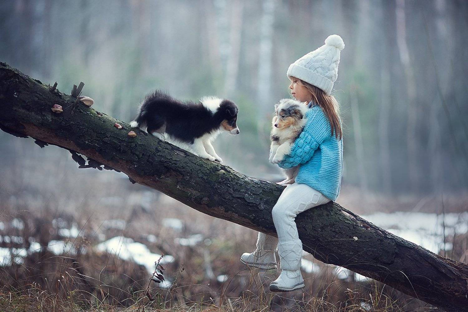 , Александра Черемохина