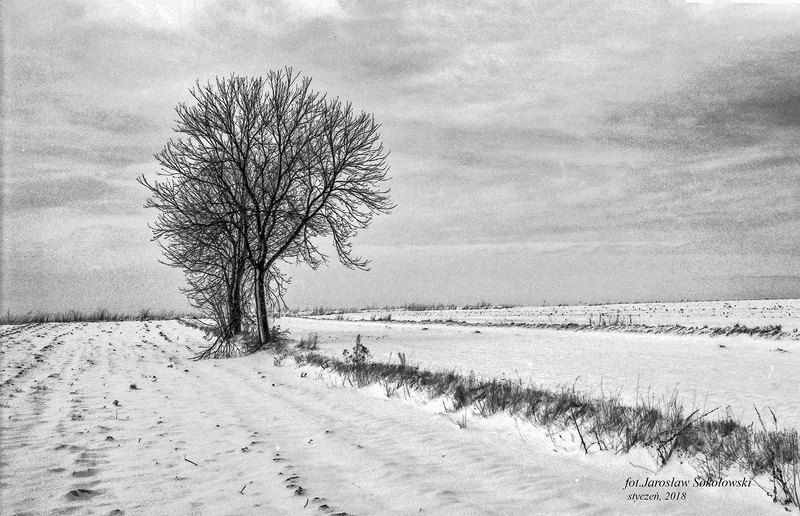 в сторону Келецкой Школы Пейзажа - аналоговая фотография фото превью