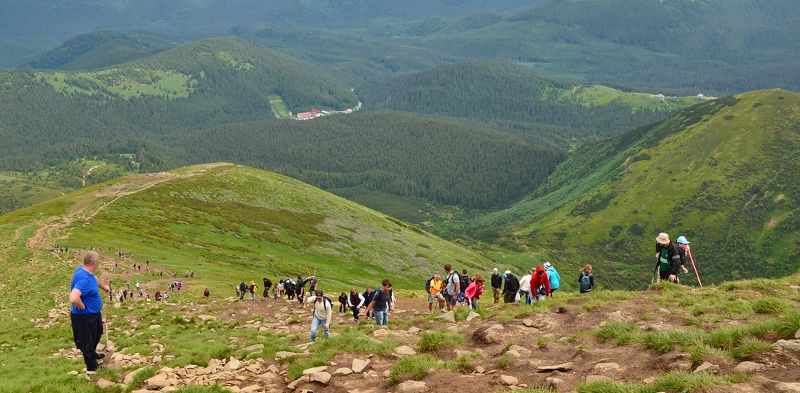 карпаты, июнь, восхождение, горы Паломники фото превью
