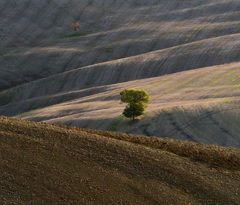 Field of curve фото превью