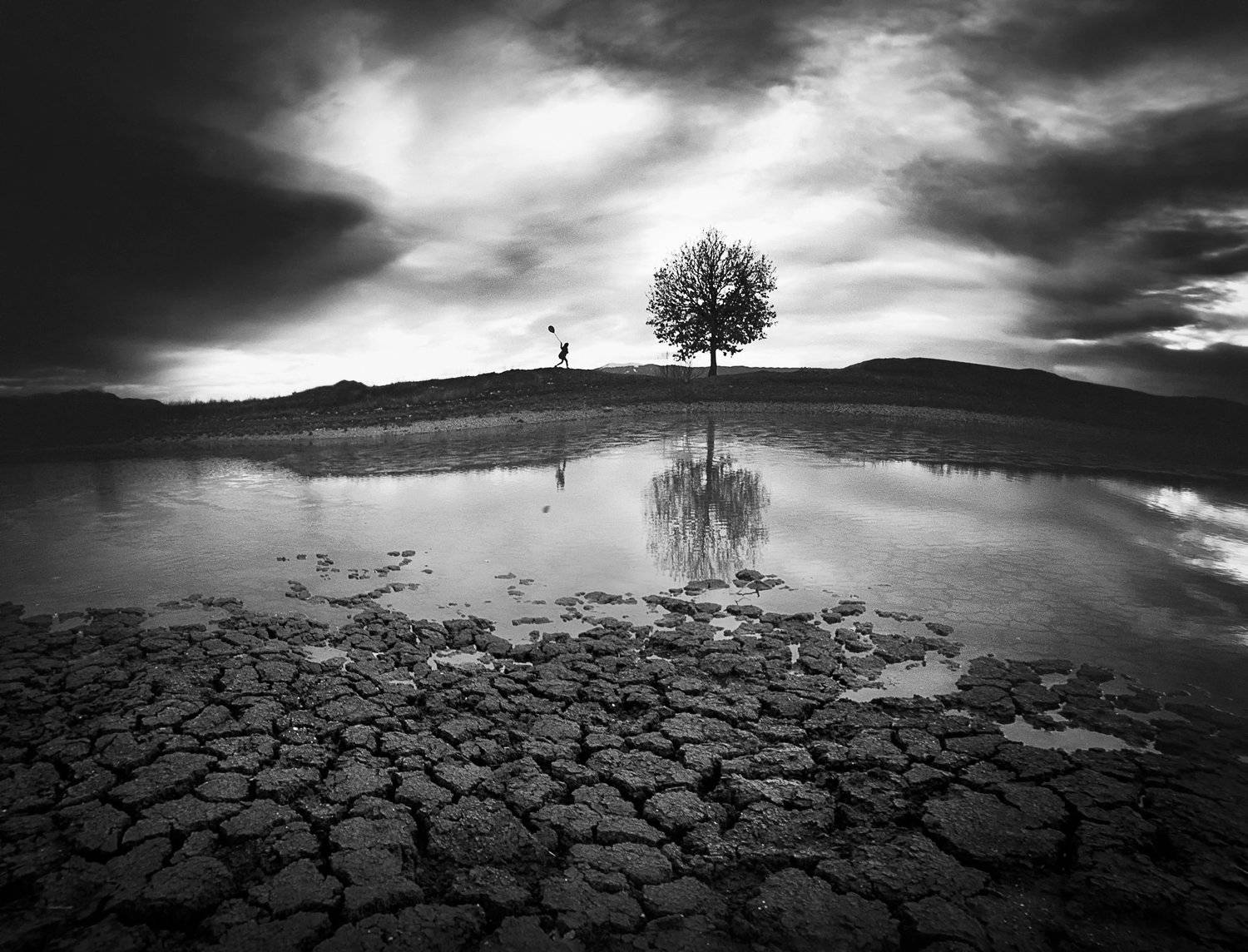 , Тодор Танев