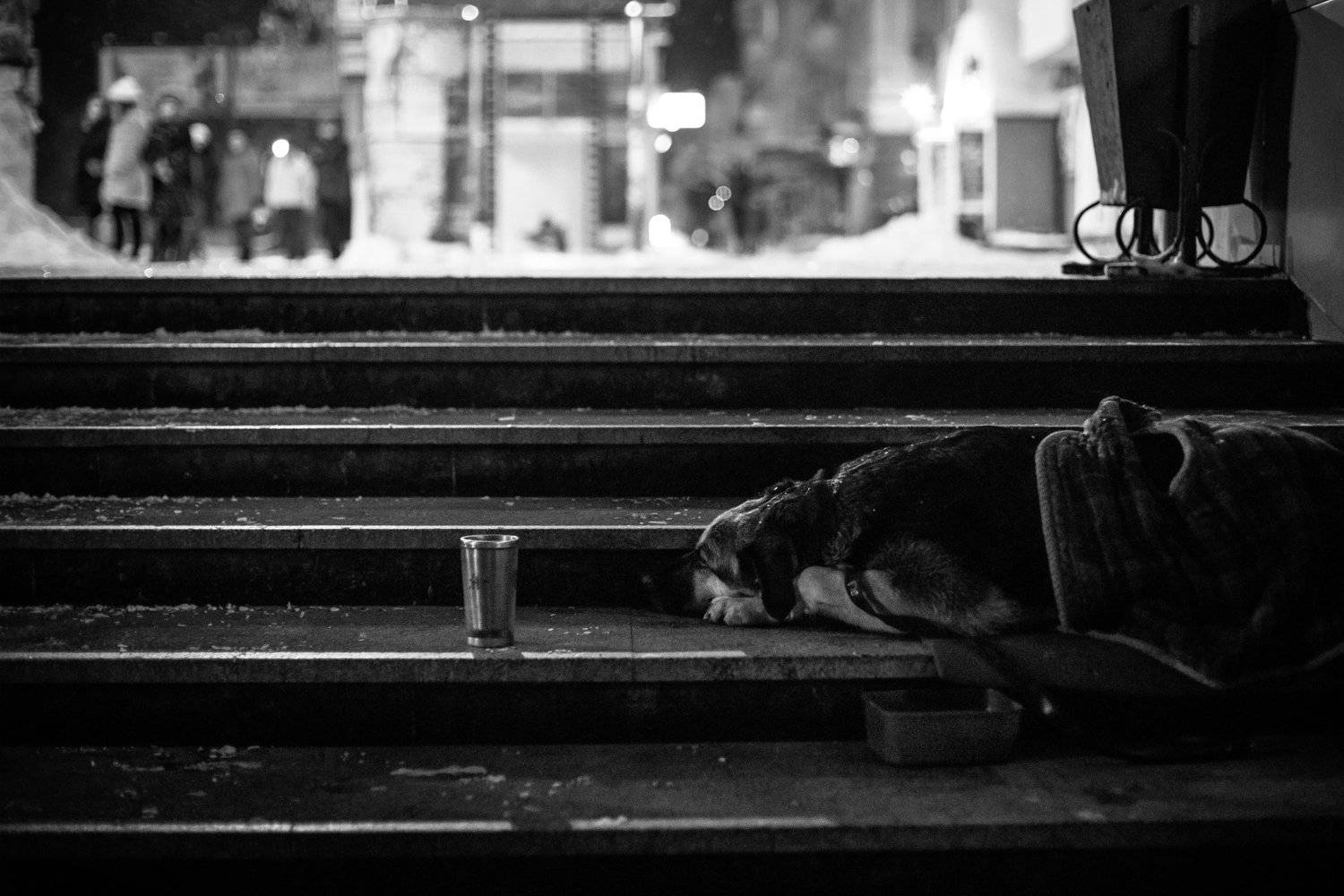 , Киричай Дмитрий