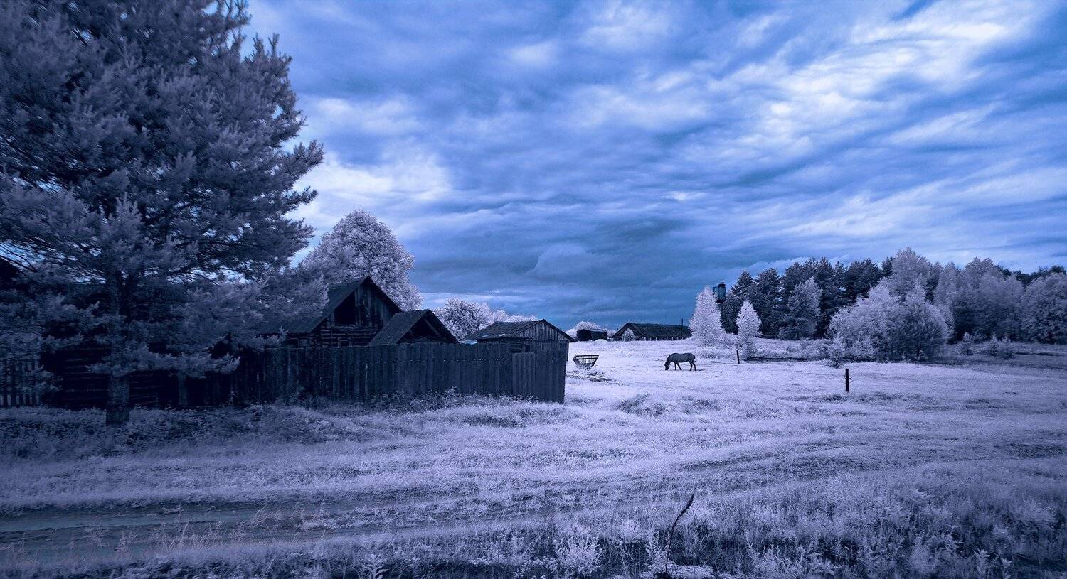 infrared,ик-фото,инфракрасное фото,инфракрасная фотография,пейзаж,природа,беларусь,лето, Sixten ( Сергей )