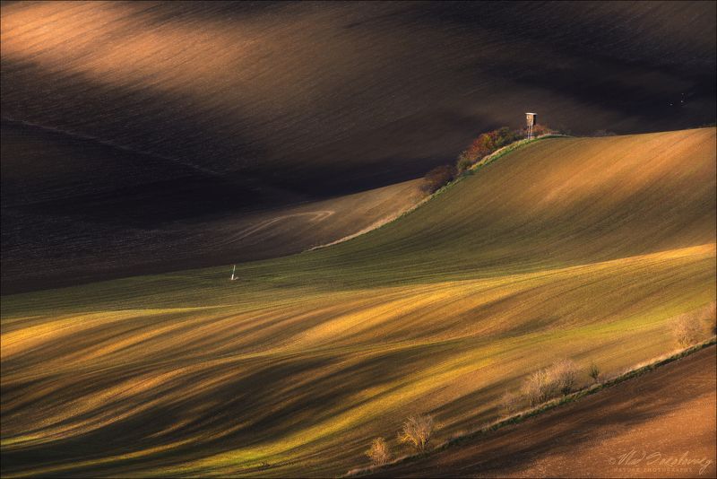 чехия, южная моравия, morava, осень, линии, свет, геометрия, south moravian, czech, chiaroscuro, light, Благодатная земля .. фото превью