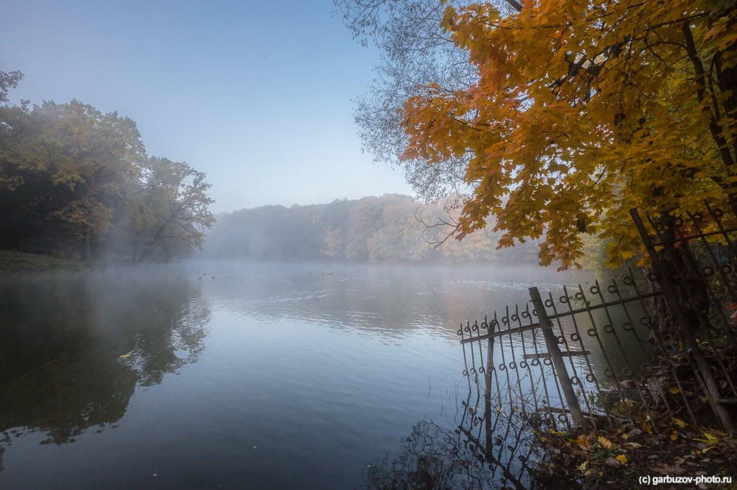 , Гарбузов Илья