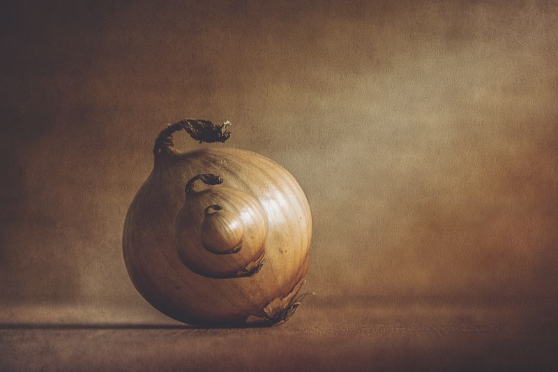 ...луковый лук фото превью