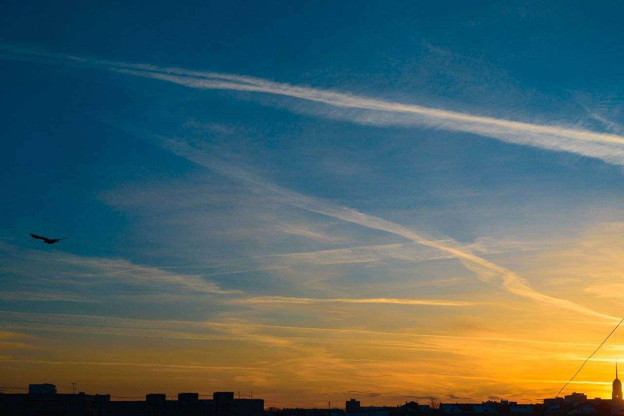 , Анисимова Ольга Леонидовна