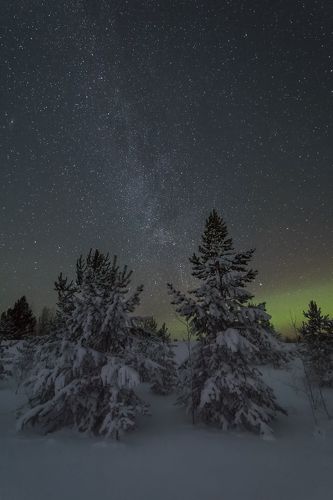 Январская ночь севера