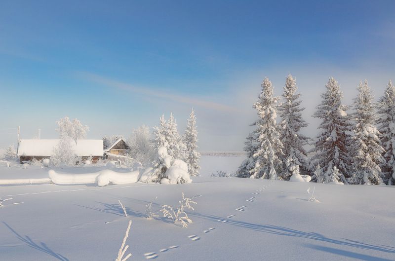 север,деревня,природа,глубинка,зима,краски,печора,коми Утро в глубинке фото превью