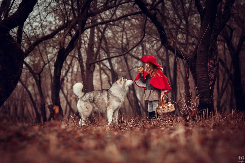 Красная Шляпочка фото превью