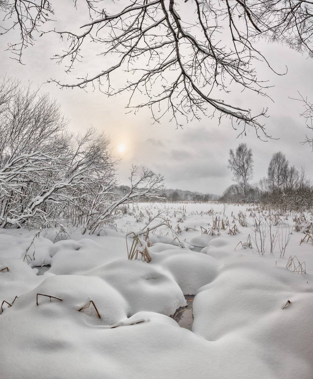 , Николай Андреев