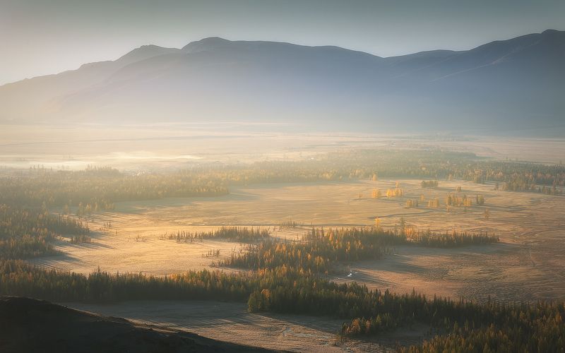 Утренний свет фото превью