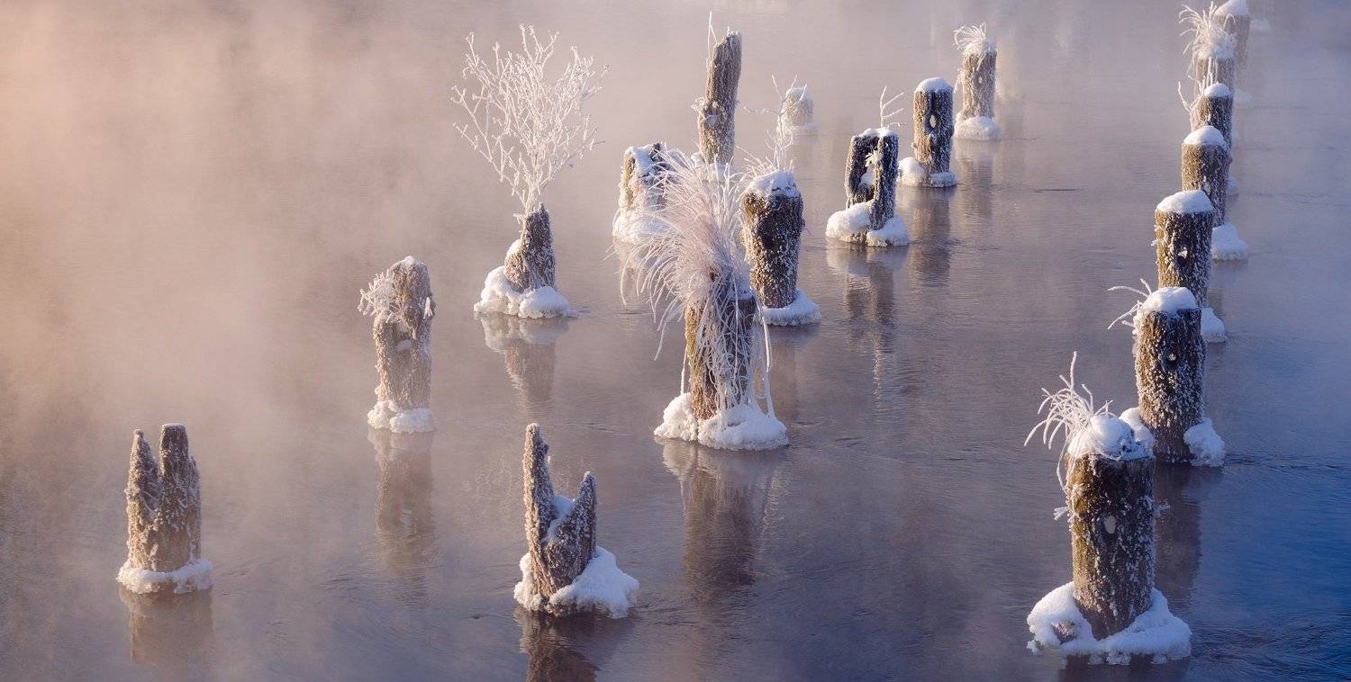 , Александр Пархоменко