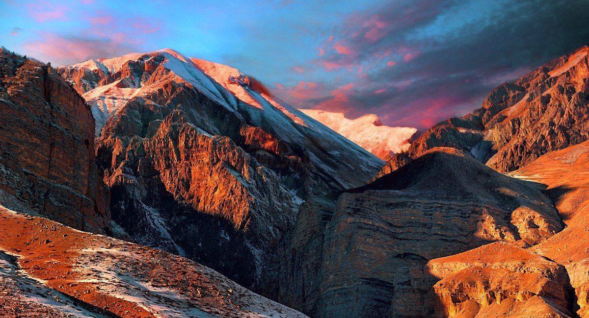 , Елена Брежицкая