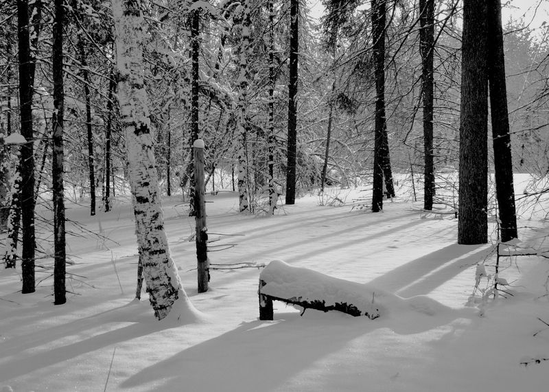 *** фото превью