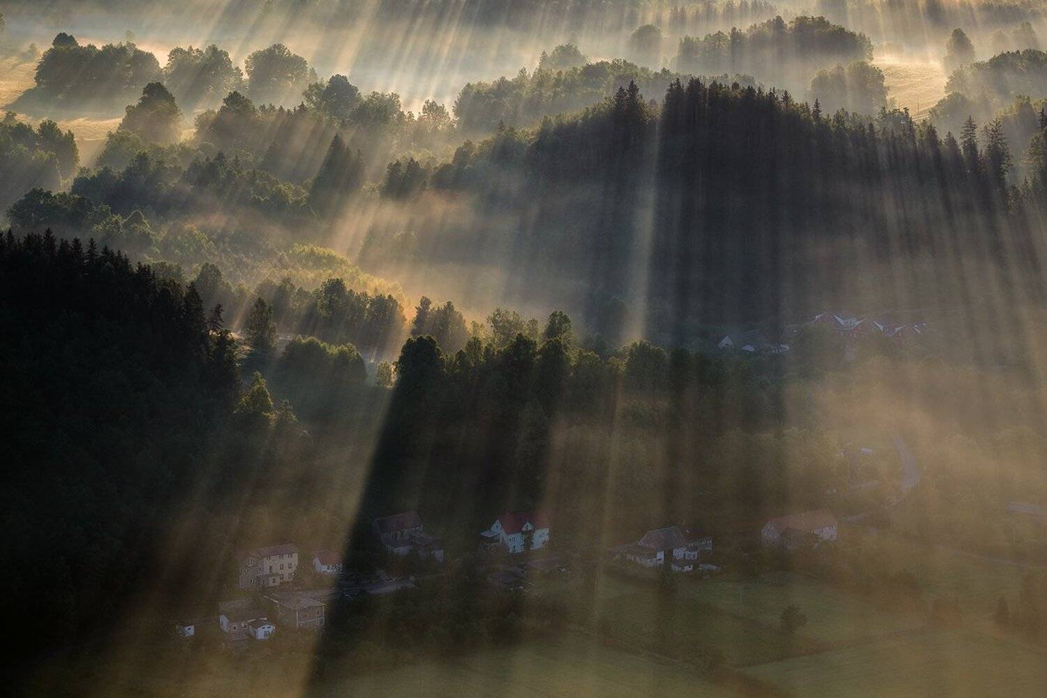 A Hymn to the Morning. Автор: Iza i Darek Mitręga landscape,canon,mist,light,autumn, Iza i Darek Mitręga