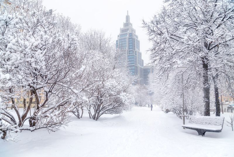 москва, снегопад Выпал снег фото превью
