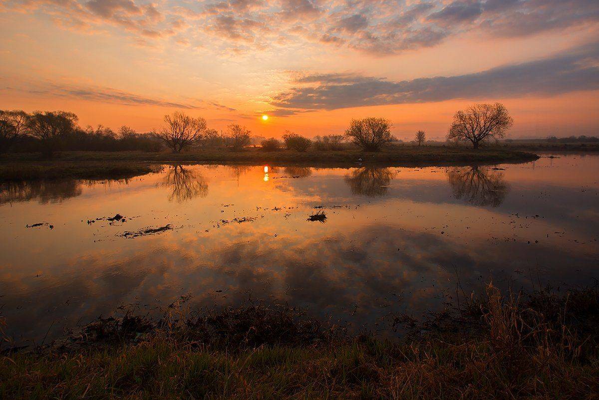 , Pawel Plucinski