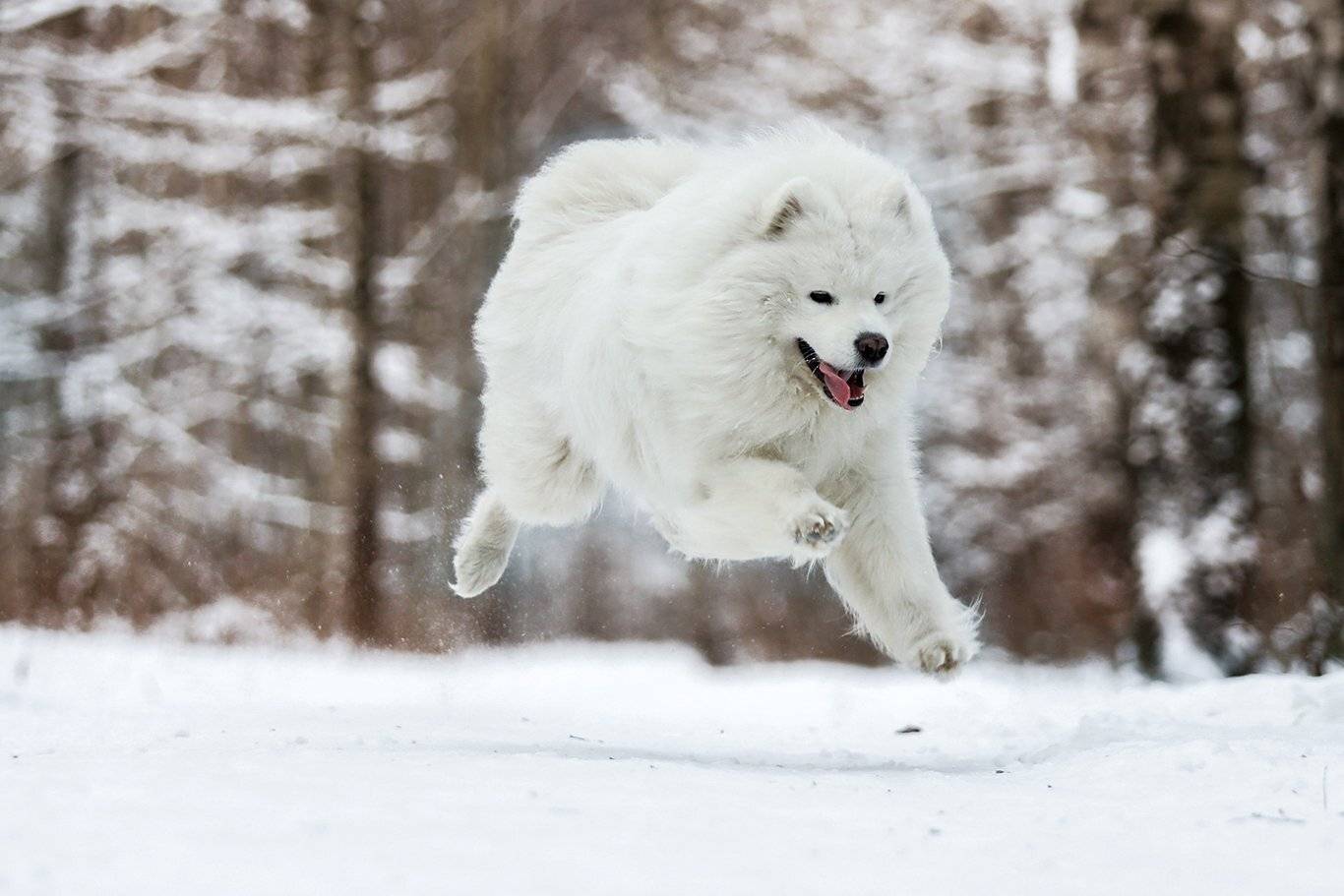 , Андрей Ершов