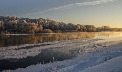 Морозное утро