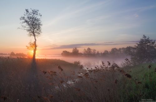С добрым утром.