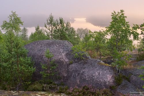 Ладожское туманное утро