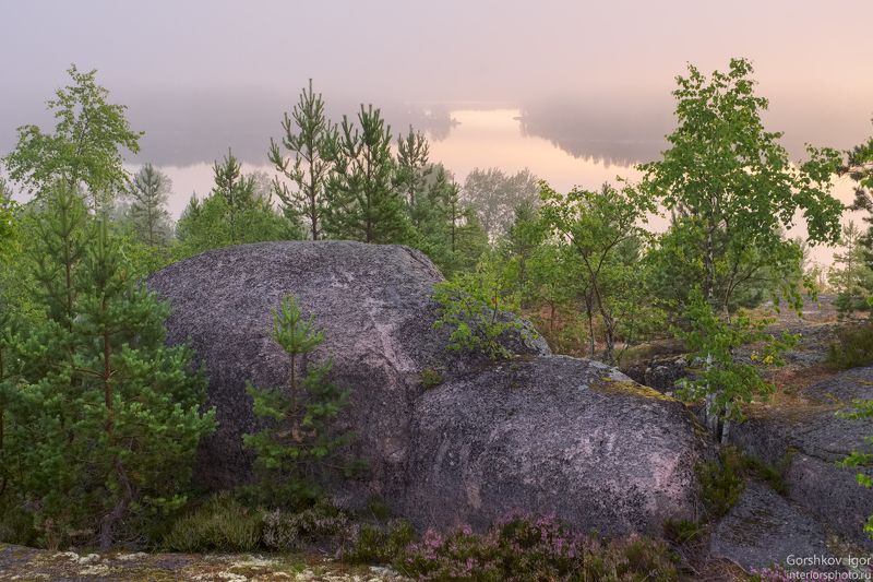 ладога,пейзаж,природа,утро,рассвет,гора,берег,россия,озеро,туман,скалы,камни,шхеры,лето Ладожское туманное утро фото превью