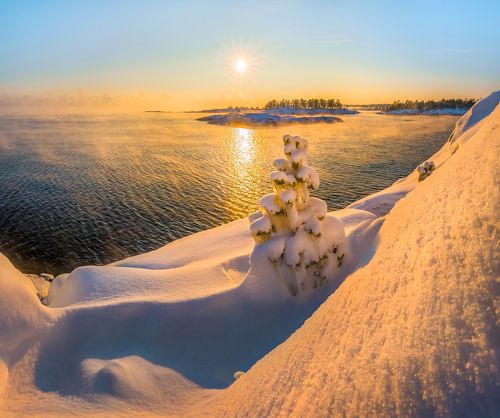 На Ладоге родилась ёлочка.